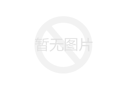 钢丝绳网厂家 定制化生产与标准化服务双轨并行